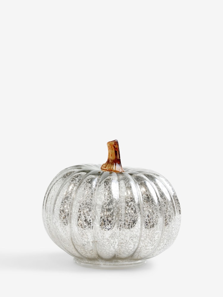 Silver Light Up Glass Pumpkin Decoration - Image 5 of 5