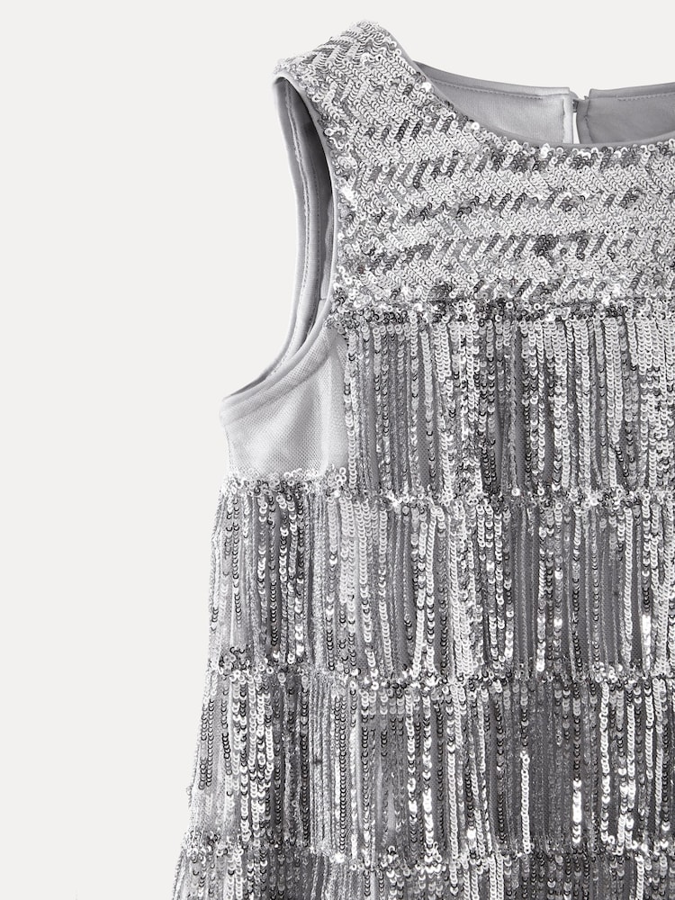Phase Eight Silver Lulu Fringe Sequin Dress - Image 7 of 7