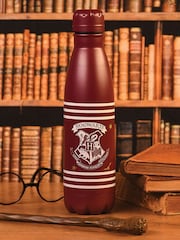 Pyramid International Harry Potter Classic Crest Burgundy Stripes Metal Drinks Bottle - Image 1 of 2