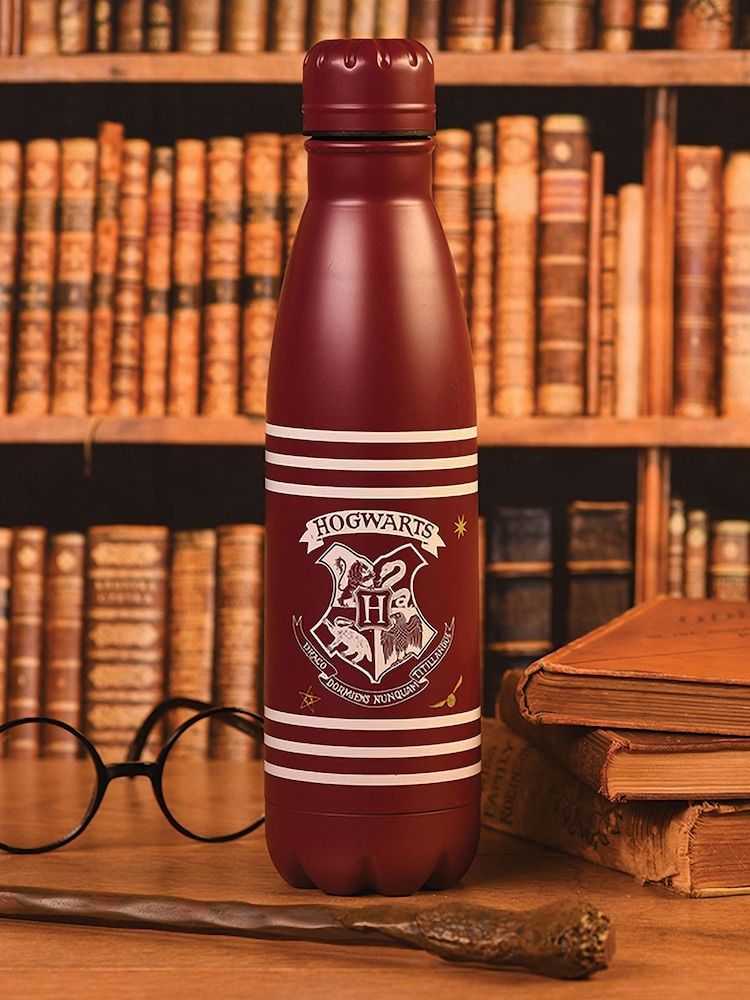 Pyramid International Harry Potter Classic Crest Burgundy Stripes Metal Drinks Bottle - Image 1 of 2