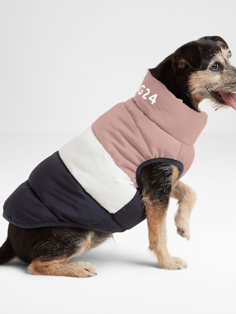 Tog 24 Pink Fetch Padded Dog Coat - Image 1 of 6 Tog 24 Pink Fetch Padded Dog Coat - Image 1 of 6