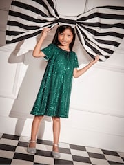 Monsoon Green Sienna Sequin A-Line Dress - Image 2 of 8