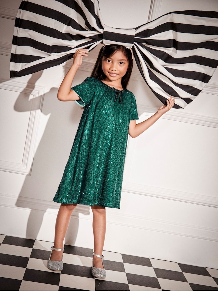 Monsoon Green Sienna Sequin A-Line Dress - Image 2 of 8