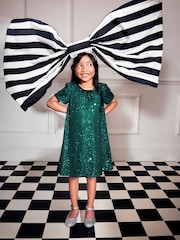 Monsoon Green Sienna Sequin A-Line Dress - Image 3 of 8