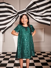 Monsoon Green Sienna Sequin A-Line Dress - Image 4 of 8