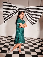 Monsoon Green Sienna Sequin A-Line Dress - Image 5 of 8