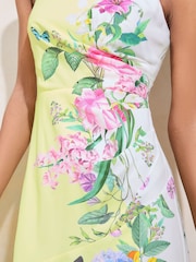 Lipsy Floral Meadow Printed Halter Fit And Flare Midi Dress - Imagen 4 de 5