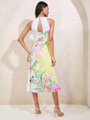 Lipsy Floral Meadow Printed Halter Fit And Flare Midi Dress - Imagen 5 de 5