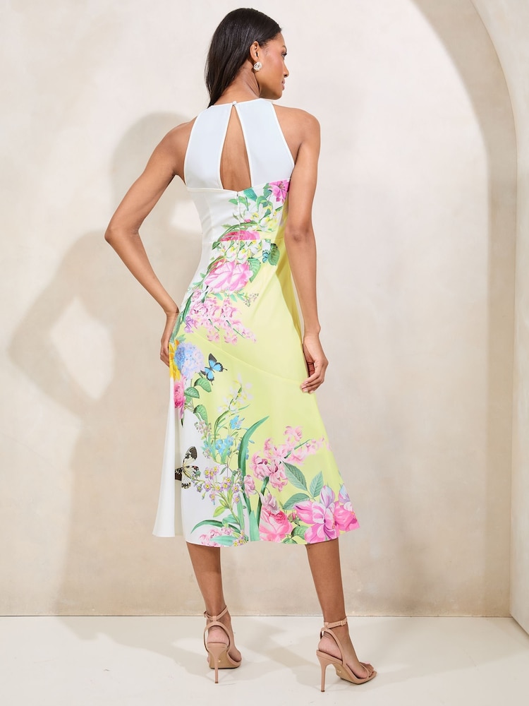 Lipsy Floral Meadow Printed Halter Fit And Flare Midi Dress - Imagen 5 de 5