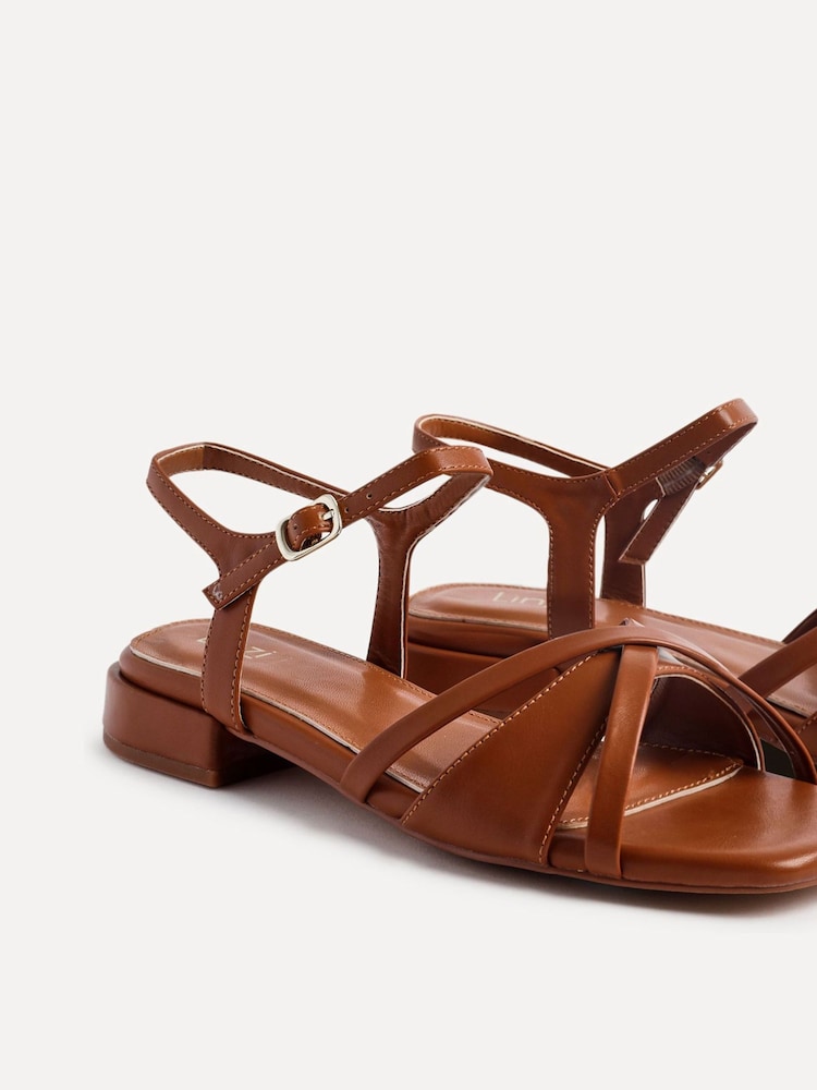 Braun - Linzi Zenna Strappy Mini Heeled Sandals - Bild 5 von 5 Braun - Linzi Zenna Strappy Mini Heeled Sandals - Bild 5 von 5