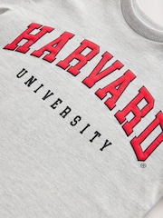 Grey Harvard University Short Sleeve T-Shirt (3-16yrs) - Image 3 of 4