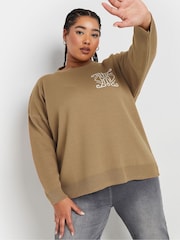 Yours Curve Natural Limited Knitted Jumper - Image 1 of 5