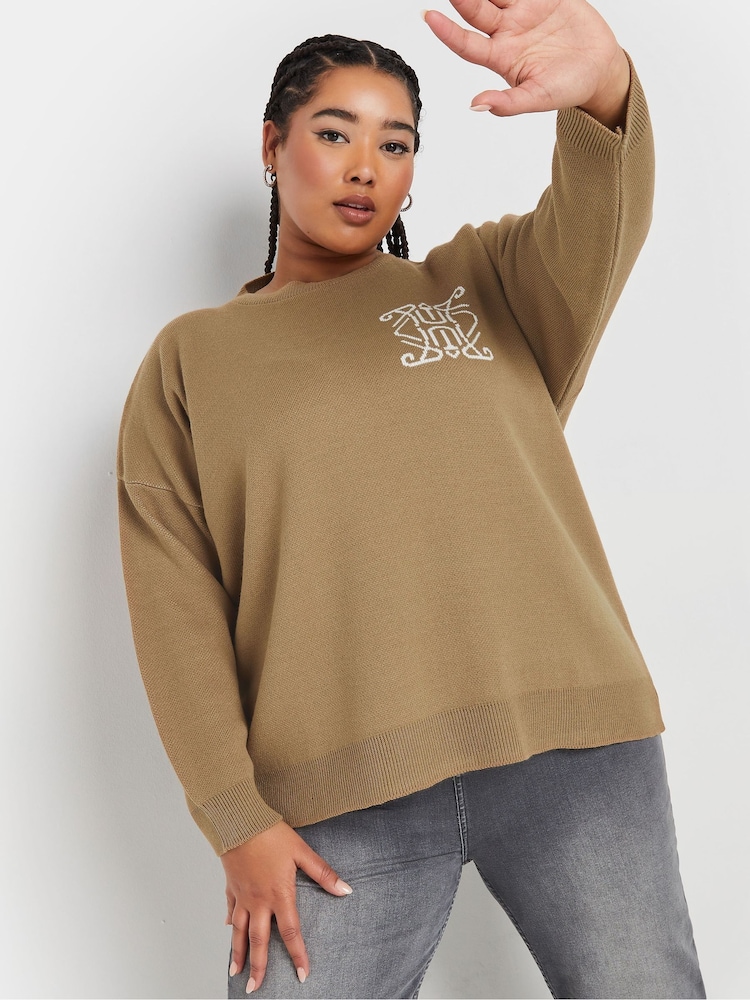 Yours Curve Natural Limited Knitted Jumper - Image 1 of 5