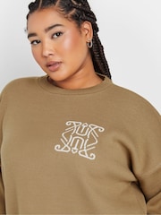 Yours Curve Natural Limited Knitted Jumper - Image 4 of 5