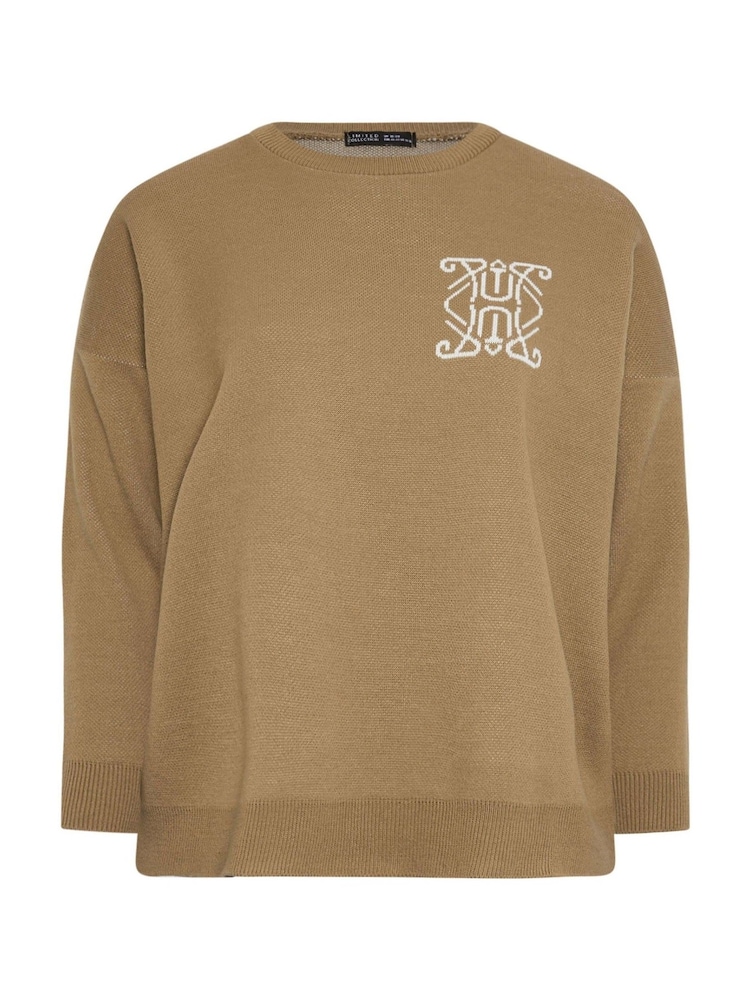 Yours Curve Natural Limited Knitted Jumper - Image 5 of 5