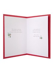Hallmark White Bicycle & Door Christmas Card for Brother - Image 4 of 4
