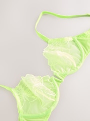 Lime Green Non Pad Plunge Premium Embroidery Bra - Image 7 of 8