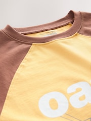 Yellow/Brown Official Oasis License Raglan Elbow Colour Block Graphic T-Shirt - Image 8 of 8