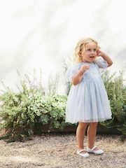 Pale Blue Embroidered Mesh Dress (3mths-8yrs) - Image 1 of 4