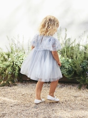 Pale Blue Embroidered Mesh Dress (3mths-8yrs) - Image 3 of 4