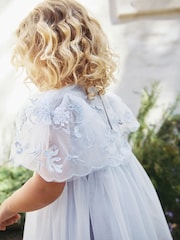 Pale Blue Embroidered Mesh Dress (3mths-8yrs) - Image 4 of 4