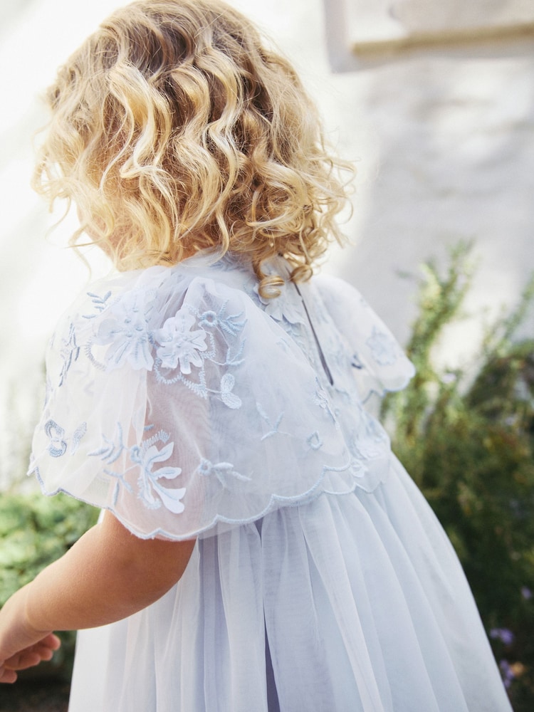 Pale Blue Embroidered Mesh Dress (3mths-8yrs) - Image 4 of 4