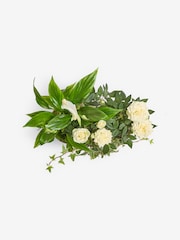 White Rose Real Plant in Trough - Image 4 of 4