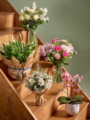 Pink Mother's Day Scented Orchid Real Plant in Ceramic Pot - Image 2 of 5