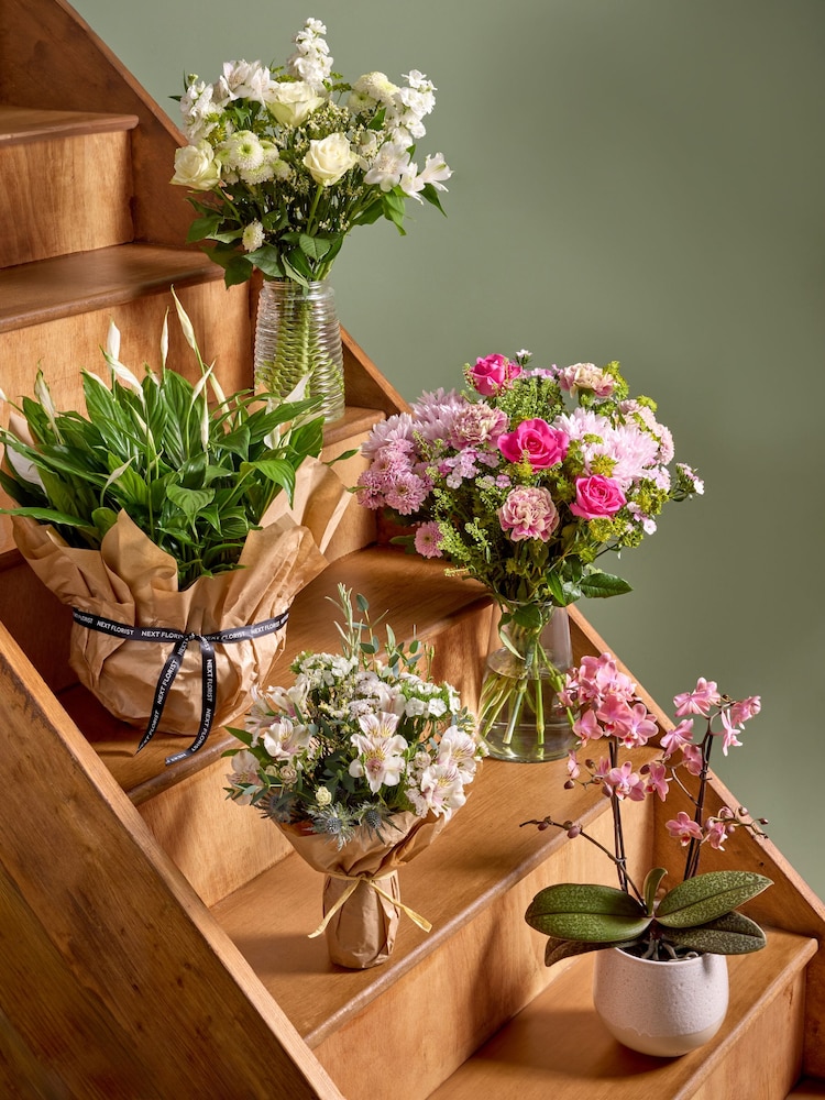 Pink Mother's Day Scented Orchid Real Plant in Ceramic Pot - Image 2 of 5