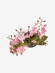 Pink Mother's Day Scented Orchid Real Plant in Ceramic Pot - Image 5 of 5