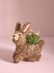 Pink Mother's Day Dianthus Real Plant in Bunny Planter - Image 1 of 4