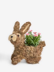 Pink Mother's Day Dianthus Real Plant in Bunny Planter - Image 3 of 4