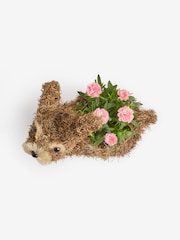 Pink Mother's Day Dianthus Real Plant in Bunny Planter - Image 4 of 4