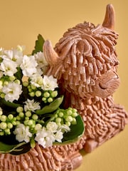 Yellow Kalanchoe Real Plant in Ceramic Hamish Pot - Image 2 of 4