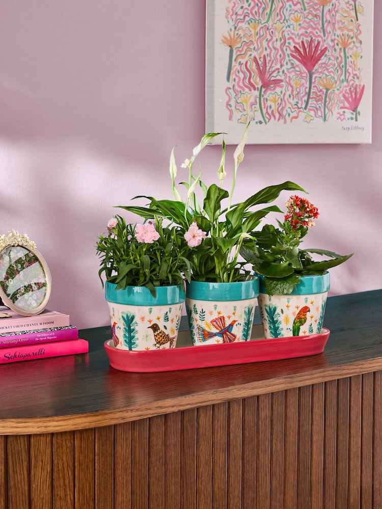 Lucy Tiffney Red/Green Plant Pots Set of 3 - Image 1 of 6