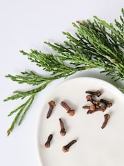 Jasper Conran London Cedar & Clove Diffuser - Image 3 of 7