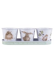 Wrendale Country Animal Herb And Tray Pots Set - Image 1 of 2