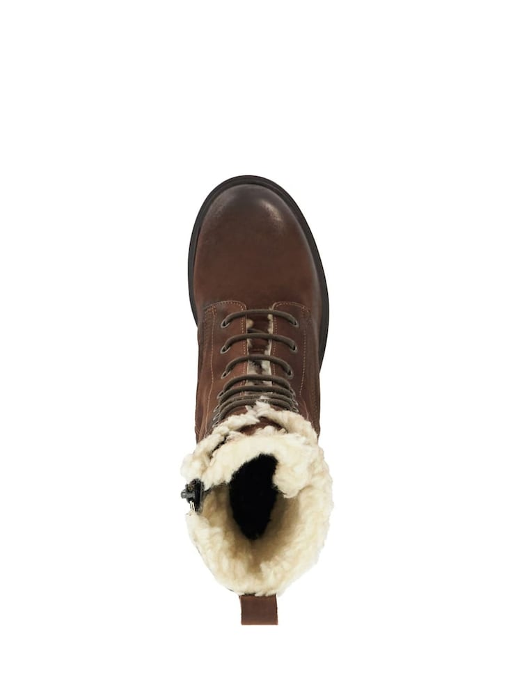 Brun - Dune London Bottes à talons mi-hauts à lacets Paniz - Image 5 of 6