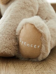 Personalised Lion Plush Toy by My 1st Years - Image 2 of 5