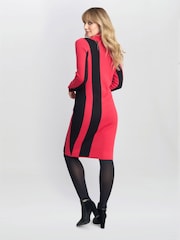Gina Bacconi Red Hally Roll Neck Knitted Dress - Image 2 of 5