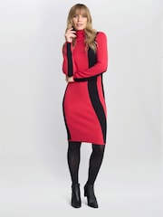 Gina Bacconi Red Hally Roll Neck Knitted Dress - Image 5 of 5