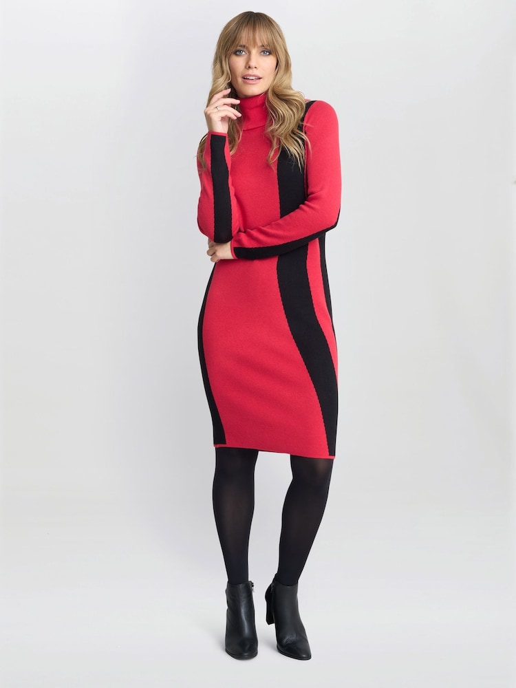 Gina Bacconi Red Hally Roll Neck Knitted Dress - Image 5 of 5