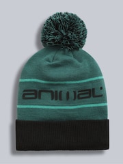 Animal Green Dylan Ski Pom Beanie - Image 1 of 5