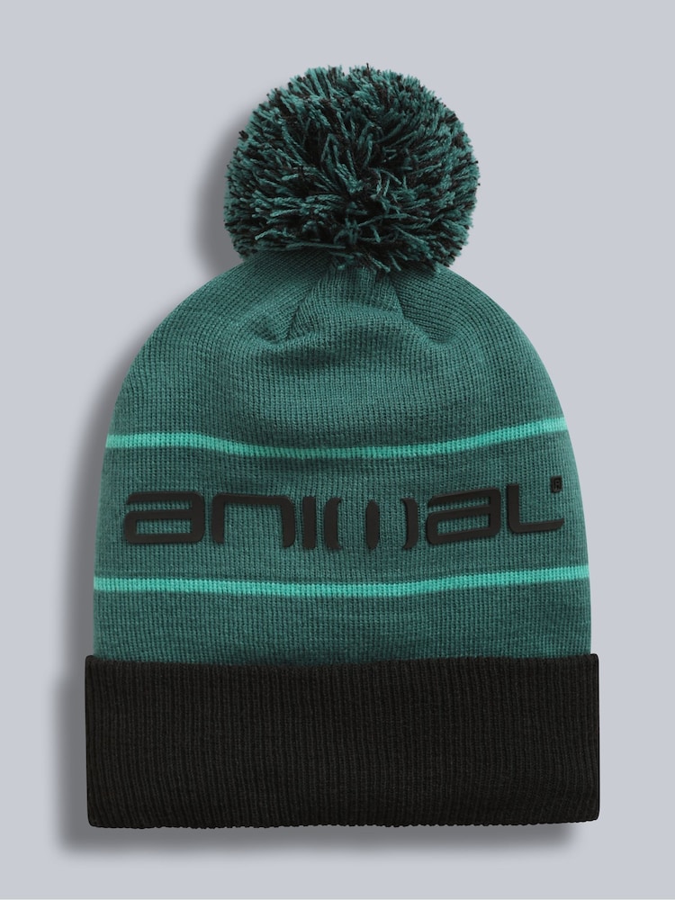 Animal Green Dylan Ski Pom Beanie - Image 1 of 5