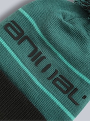 Animal Green Dylan Ski Pom Beanie - Image 5 of 5
