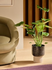 MADE.COM Brown Santiago Hand Splatter Medium Plant Pot - Image 1 of 4