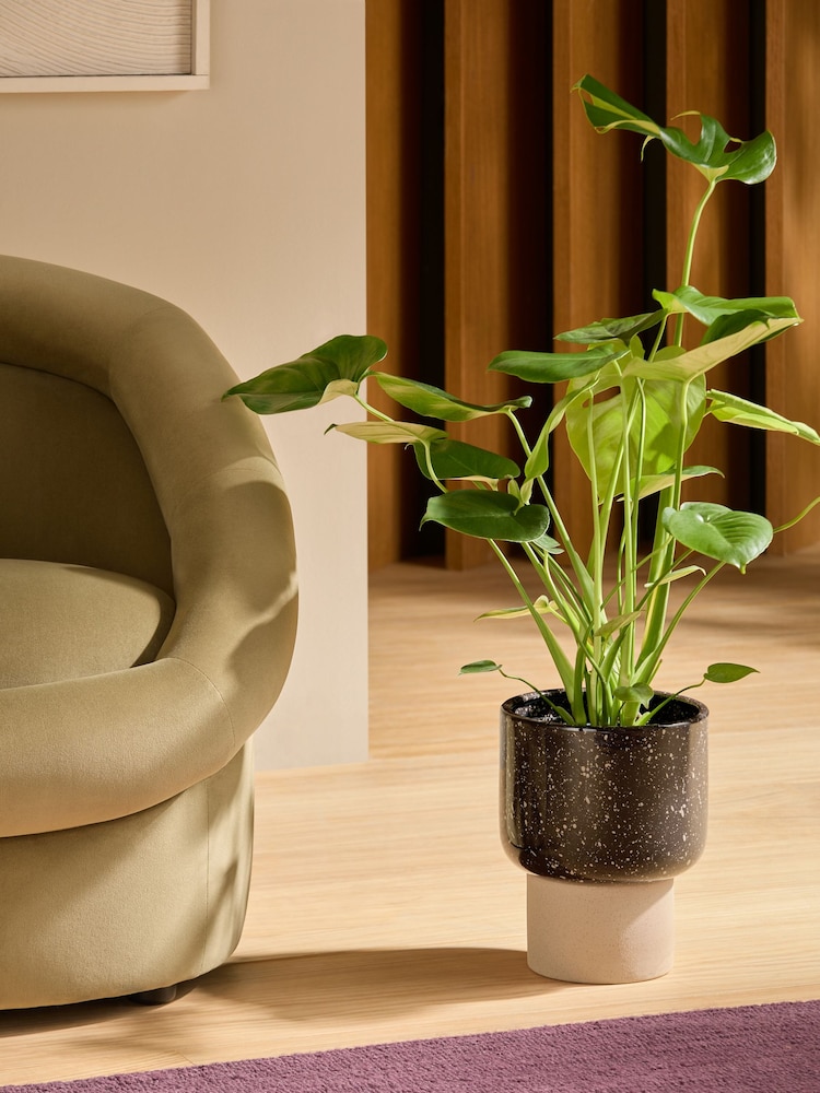 MADE.COM Brown Santiago Hand Splatter Medium Plant Pot - Image 1 of 4 MADE.COM Brown Santiago Hand Splatter Medium Plant Pot - Image 1 of 4