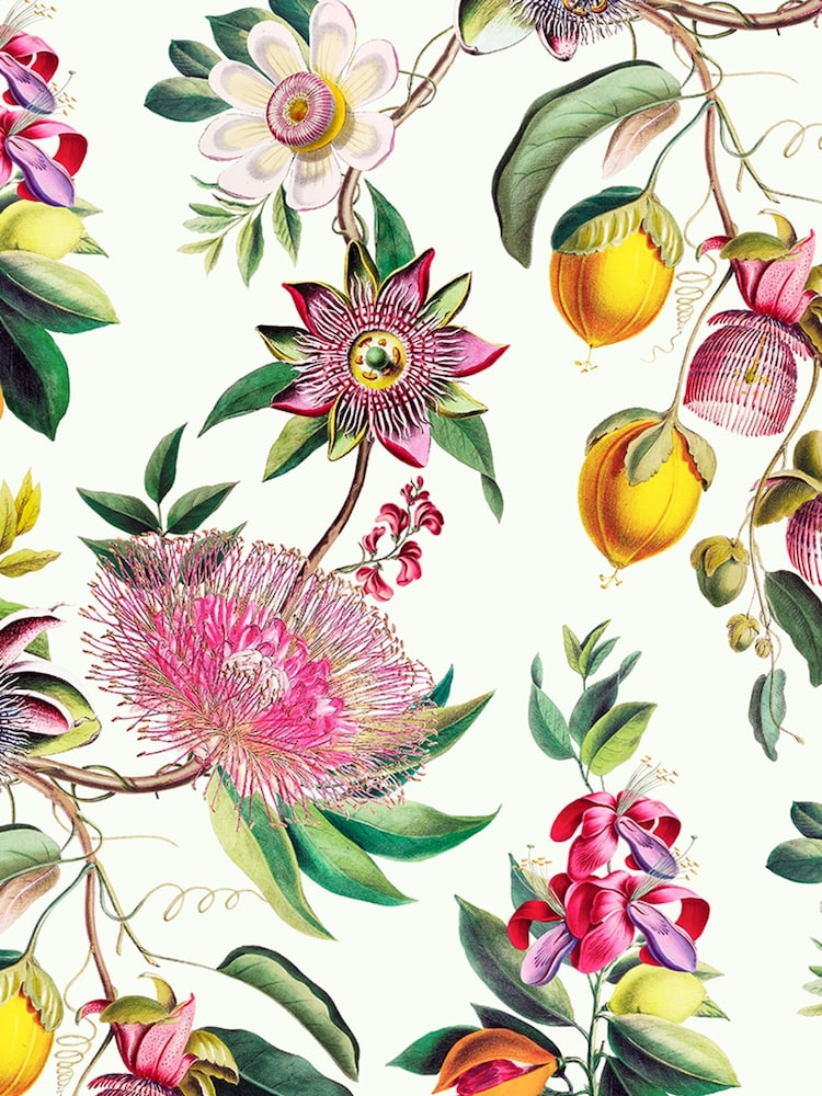 Graham & Brown Lush Physic Garden 10M Wallpaper - Image 2 of 4