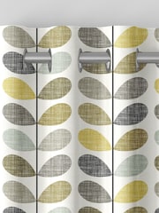 Orla Kiely Seagrass and Duckegg Blue Scribble Stem Made to Measure 100% Cotton Curtains - Image 7 of 9