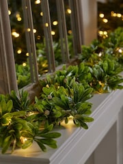 Dibor Green Wild Privet Light Up Garland - Image 1 of 4